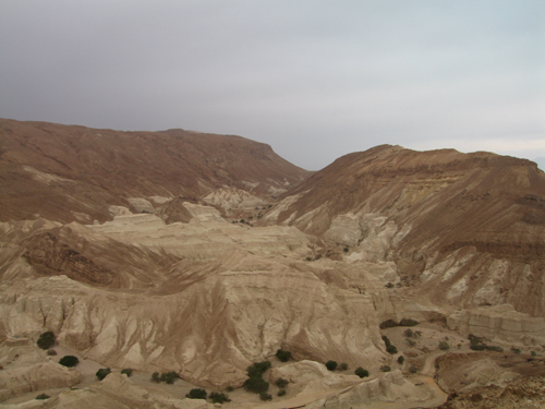 Negev Landscape 1